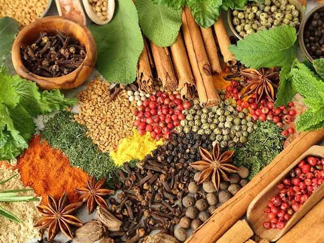 19 2024 638696093584366618 436